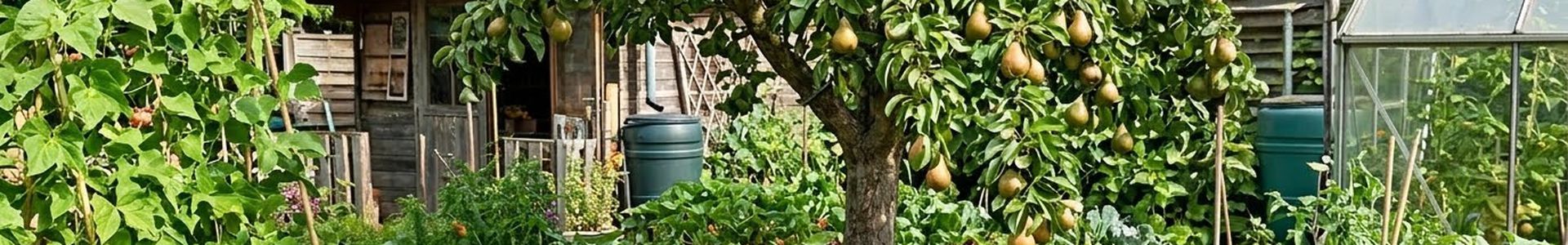 De beste appel- en perenrassen voor een kleine moestuin